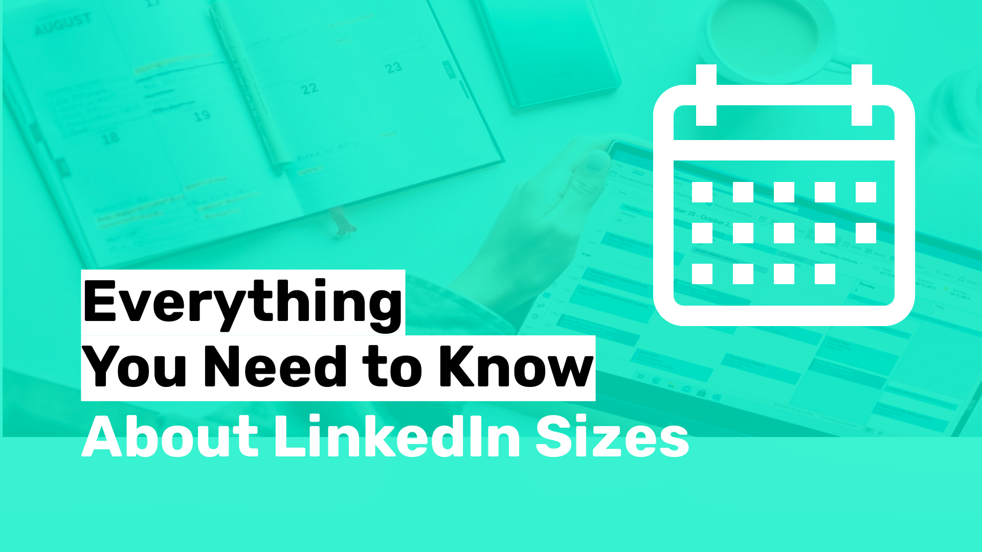 Everything You Need to Know About LinkedIn Video